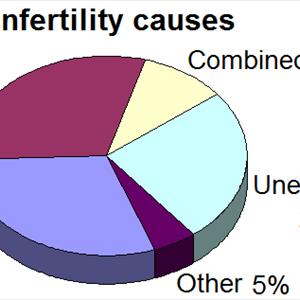 Infertility Specialists In California - Some Reasons For Infertility And Most Common Issues