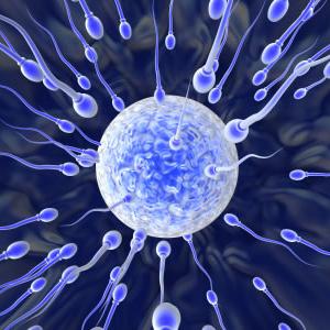 Ovulation Predictor Kits Results - Infertility & Taxes