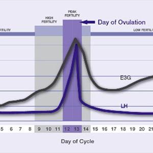 Fertility Chart Examples - Cancer Risk Increased By Intake Of Fertility Drugs